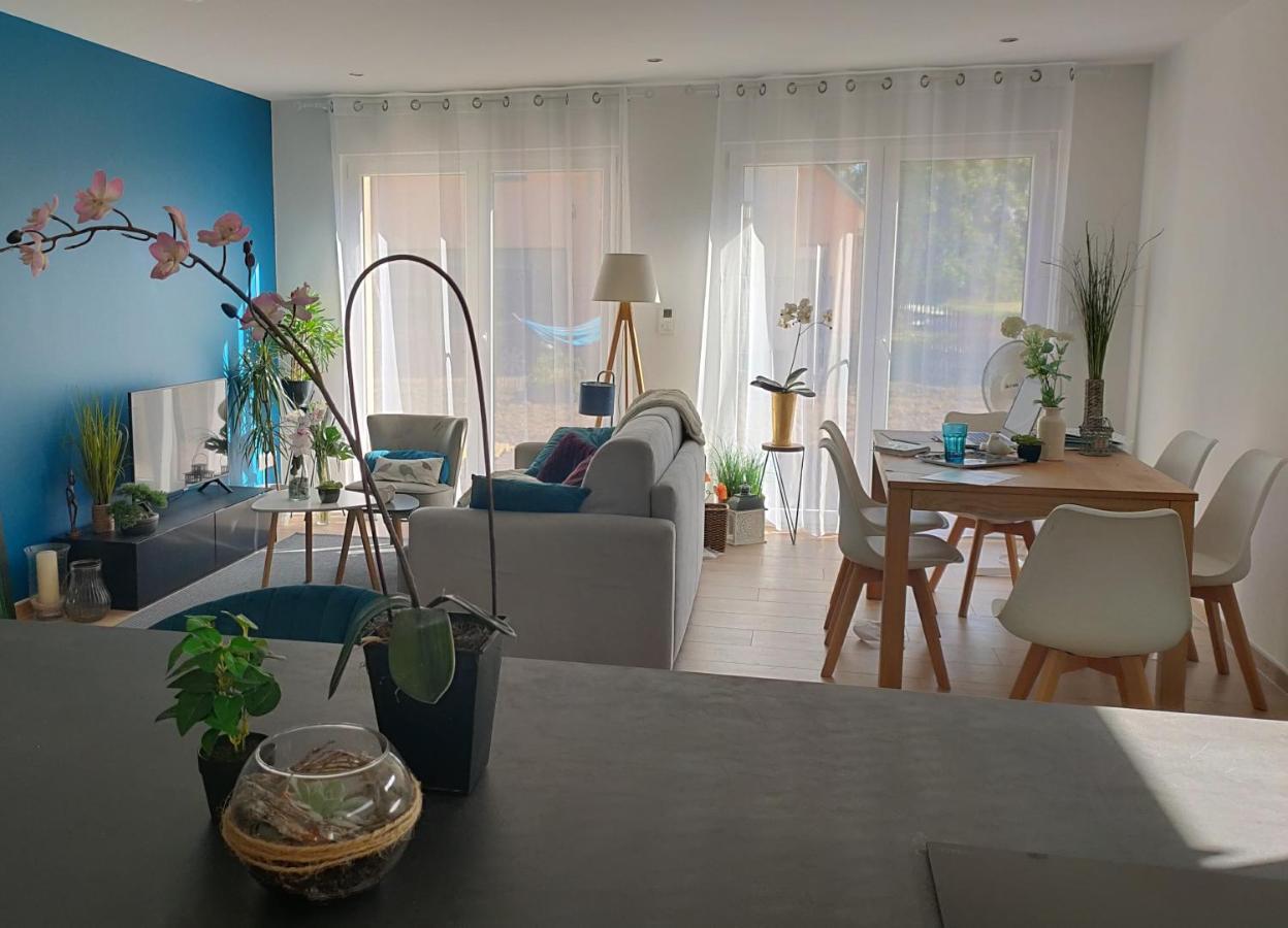 La Maison Bleue, A 20 Mn De Strasbourg, Sur La Route Des Vins, Jusqu'A 6 Personnes, זלסטאט מראה חיצוני תמונה