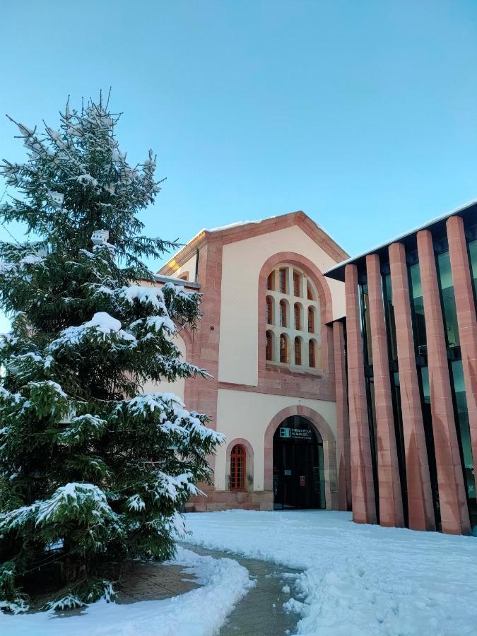 La Maison Bleue, A 20 Mn De Strasbourg, Sur La Route Des Vins, Jusqu'A 6 Personnes, זלסטאט מראה חיצוני תמונה