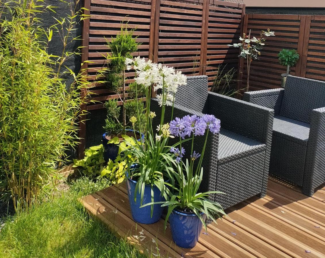 La Maison Bleue, A 20 Mn De Strasbourg, Sur La Route Des Vins, Jusqu'A 6 Personnes, זלסטאט מראה חיצוני תמונה