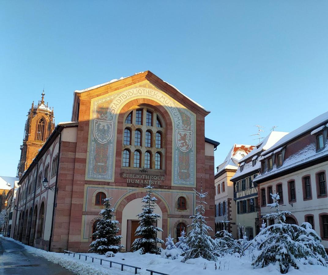 La Maison Bleue, A 20 Mn De Strasbourg, Sur La Route Des Vins, Jusqu'A 6 Personnes, זלסטאט מראה חיצוני תמונה
